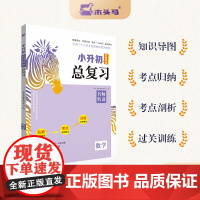 24新版木头马小升初名师帮你总复习数学名师特训人教版全国通用小学生毕业升学复习资料考前冲刺模拟试题考点归纳知识大全