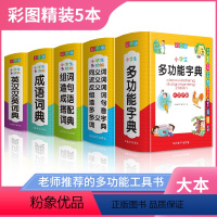 [索线精装]多功能字词典工具书 [正版]抖音同款奇妙大语文1-6年级总复习全套2册狐说新语小学一二三四五六年级语文课外阅