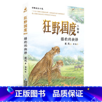 猎豹的抉择——狂野国度三部曲 [正版] 狂野国度三部曲全3册 狼国故事凌岚著雄狮的荣耀猎豹的抉择9-12岁小学生三四五六