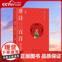[央视网]唐诗三百首译注评 毕宝魁 著大学生中国经典传统文化爱好者文学名著唐诗赏析诗仙李白王维孟浩然王昌龄柳宗元 XD
