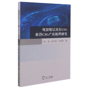 [M]残留煤层封存CO2驱替CH4产出机理研究-9787551724289
