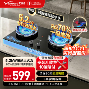 万和Vanward燃气灶双眼嵌入式钢化玻璃面板5.2kW直燃火一级能效全进风电子脉冲点火天然气12T熄保安全设计