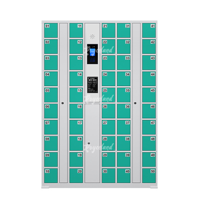 洛诗莲 (RoyceLand) 智能手机柜充电柜手机设备寄存放柜 50门