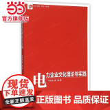 卓越·经济学系列：电力企业文化理论与越业