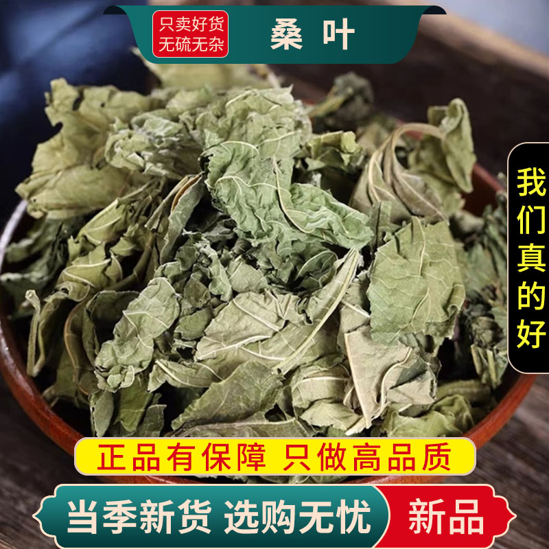 甄选桑叶100克精选干货新货煮水泡茶白菊花薄荷叶甘草9260