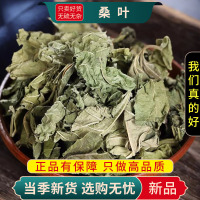 甄选桑叶100克精选干货新货煮水泡茶白菊花薄荷叶甘草9260
