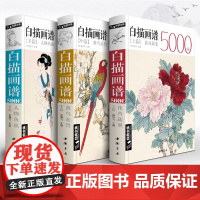 [上中下三册]经典全集 白描画谱5000例·上篇·花卉果蔬/中篇·禽sh