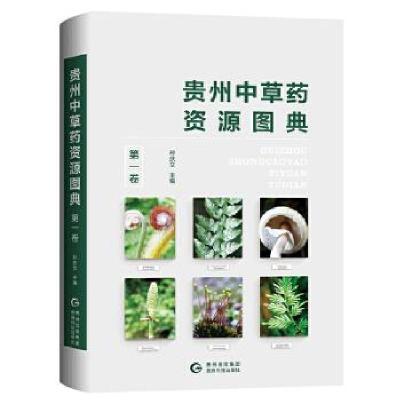 正版新书]贵州中草药资源图典.卷孙庆文主编9787553207087