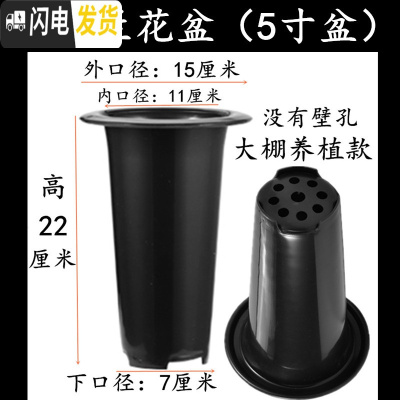 三维工匠塑料加厚加高兰盆带壁孔和不带壁孔款式花盆底自带沥水罩 6号兰花盆[5寸]没有拖盘 10个[同号]花盆容器