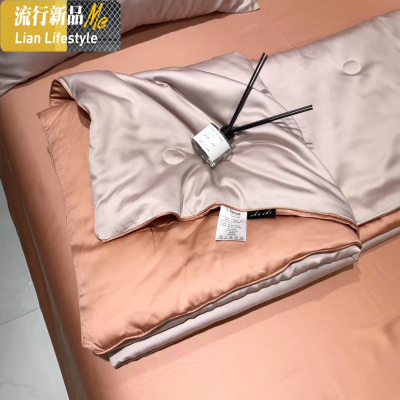 60S天丝纯色双拼夏凉被四件套莱塞尔兰精天丝空调被丝滑薄被 三维工匠被子
