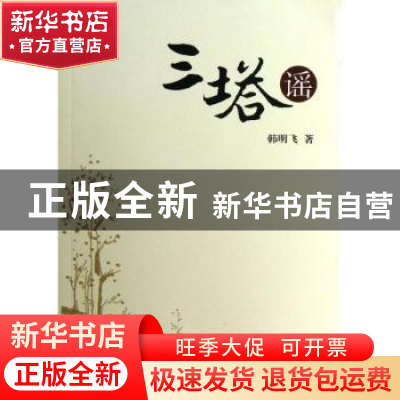 正版 三塔谣 韩明飞著 东南大学出版社 9787564141059 书籍
