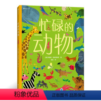 [正版]忙碌的动物 3-6岁全景情境认知游戏书 童书 带孩子走进动物的世界,认识动物,了解动物的生活, 全方位提升认知