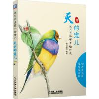 正版新书]天空的宠儿(超写实温馨手绘时光)麓山画室978711148576