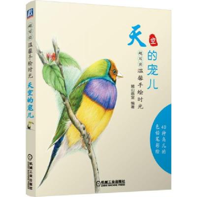 正版新书]天空的宠儿(超写实温馨手绘时光)麓山画室978711148576