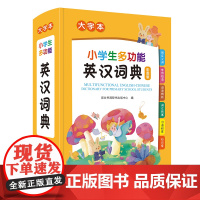 小学生多功能英汉词典(大字本)