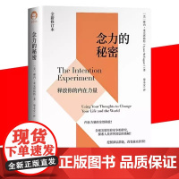 正版新书 念力的秘密 释放你的内在力量 内在力量的全然释放各类实验争相研究探索人类世界深层的奥秘 中国青年出版社