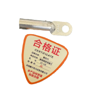 顺亦兴 镀锡铜接线端子DT-120/个