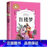 红楼梦 [正版]红楼梦 儿童彩图注音版 世界经典文学 儿童文学6-12岁 少儿图书 寒假课外书目 亲子共读 世界经典文学