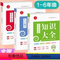 全3册:语文+数学+英语知识大全 小学通用 [正版]2024新版 小学语文知识大全人教版一到六年级小升初小学1-6年级上