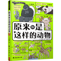 音像原来你是这样的动物[日]沼笠航著,王宇佳 译