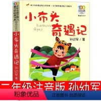 小布头奇遇记 [正版]小布头奇遇记注音版二年级一年级小学孙幼军小布头历险记旅行记三年级彩图美绘版课外阅读书籍儿童读物6-