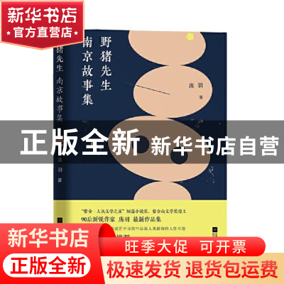 正版 野猪先生(南京故事集) 庞羽 江苏凤凰文艺出版社 9787559454
