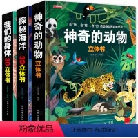 [正版]全3册儿童3d立体书 我们的身体+探秘海洋+神奇动物 幼儿绘本男孩女孩人体认识科学秘密打百科 小学生一年级科普