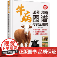 牛病鉴别诊断图谱与安全用药 9787111708025 机械工业出版社 金东航