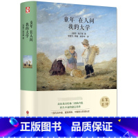 [正版]精装全译童年在人间我的大学 精装版经典文学名著书籍青少年版书初中学生阅读的课外书读物