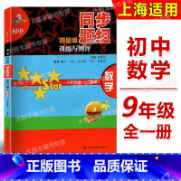[正版]初中四星级同步题组训练与测评 数学 九年级/9年级第一、二学期 科教版教辅 上海科技教育出版社 上海版教辅课后