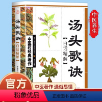 [正版]汤头歌诀白话精解图书中医药经典著作中医基础理论知识 常见病诊断草药知识大全书籍原文白话文解译 家用实用老中医保
