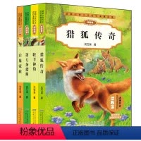 [正版]动物小说大王沈石溪精品集拼音版第二辑全套4册 第七条猎狗+牧羊神豹+猎狐传奇+白象家族 全集系列注音版儿童文学