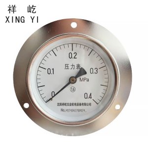 祥屹+轴向带边压力表检测定制型+Y100ZT+块