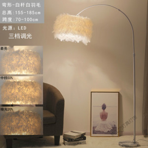 苏宁放心购 羽毛落地灯钓鱼客厅卧室书房创意网红遥控北欧极ins风立式台灯