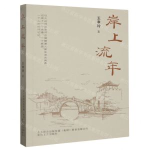 [N]岸上流年-9787531364146