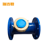 瑞吉君 水表 DN80 长21.5cm 个