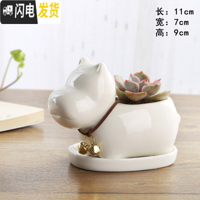 三维工匠卡通可爱萌多肉花盆小号植物白色陶瓷创意简约拇指盆 FP河马+托不含植物 小花盆容器