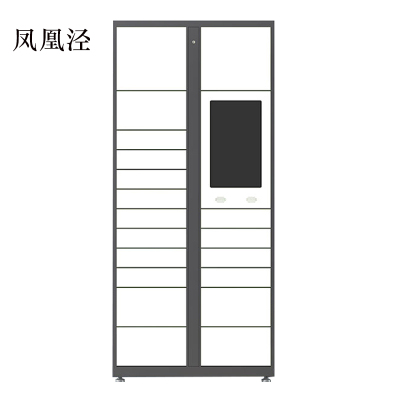 凤凰泾智能快递柜小区快递自提柜派件柜室外寄存柜信报箱储物柜主柜19格