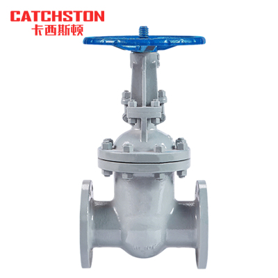 卡西斯顿 铸钢法兰闸阀 DN32 个