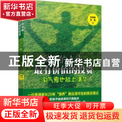 正版 孩子的未来,最有价值的投资:淘气鬼也能上清华 杜忠明,杜恒