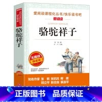 骆驼祥子 [正版]城南旧事 林海音原著完整版名著儿童文学三四五六年级中小学生课外书籍老师骆驼的样子小英雄雨来宝葫芦的秘密