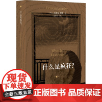 什么是疯狂?( 拉康派重要学者代表作,揭示疯癫与文明的交织, 捕捉日常生活中隐秘的疯狂时刻)