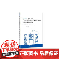 CAFTA进程下的广西北部湾经济区产业集群发展之财政金融政策研究