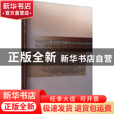 正版 岩土工程可靠性分析:理论、方法与算法:theories, methods,
