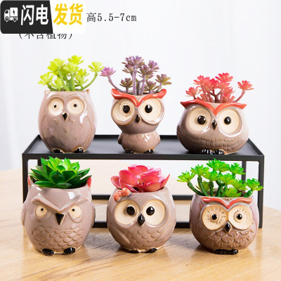 三维工匠拇指多肉花盆小号可爱迷你组合陶瓷哥窑复古现代花器满10 AP猫头鹰6个 小花盆容器