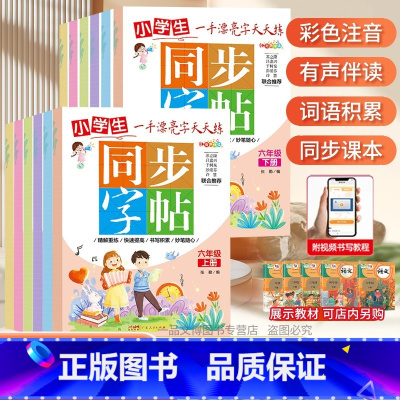 一手漂亮字天天练 小学全套[12本] 小学通用 [正版]控笔小学生练字帖一年级二年级三四五六字帖上册下册笔画笔顺练语文生