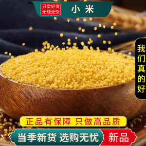 米香油厚黄小米100克米农家粘糯米粗粮杂粮黄金小米粥9260