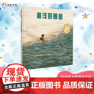 搁浅的鲸鱼精装绘本3-6岁亲子共读图画书天略童书馆正版