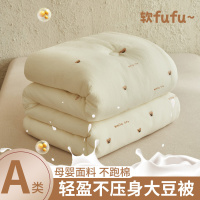 皱皱纱卡通刺绣大豆纤维被冬季加厚冬被双人被子春秋被芯四季通用