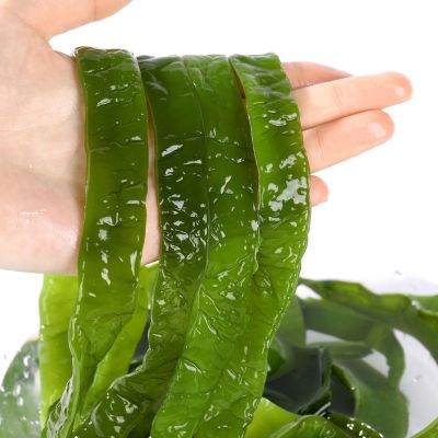 盐渍海白菜厚裙带梗新鲜裙带菜非干货梗段整箱批发裙带梗5斤5个包装